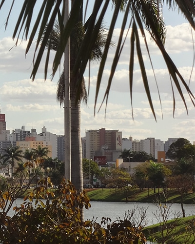 São José do Rio Preto